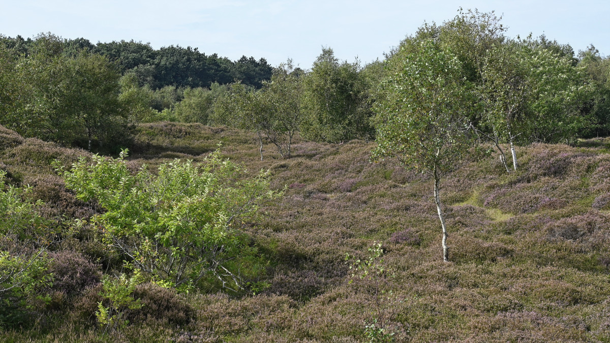 _Z506462_DxOPxl.jpg