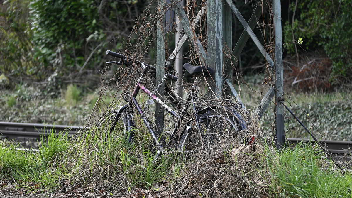 _Z506874_DxOPxl.jpg