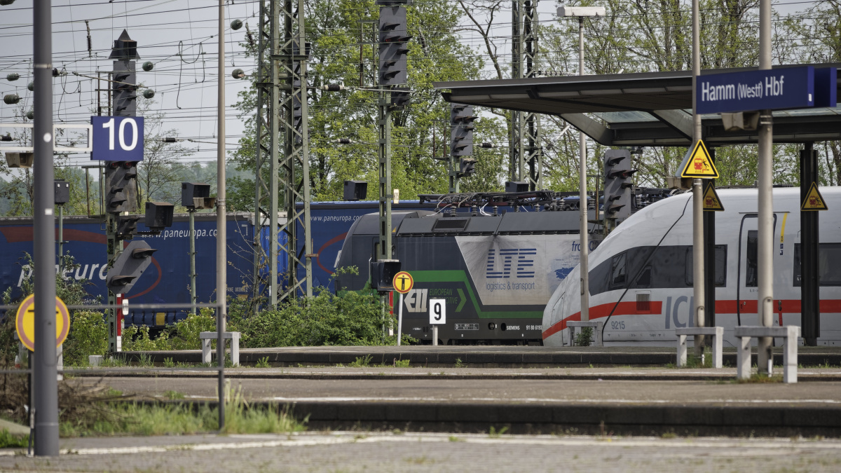 _Z507022_DxOPxl.jpg