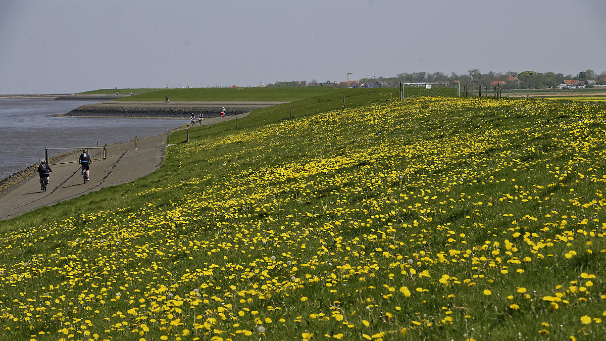 _Z507059_DxOPxl.jpg