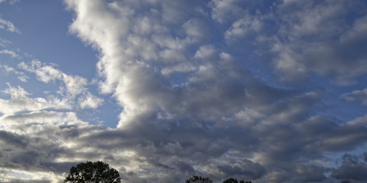_Z508590_DxOPxl.jpg