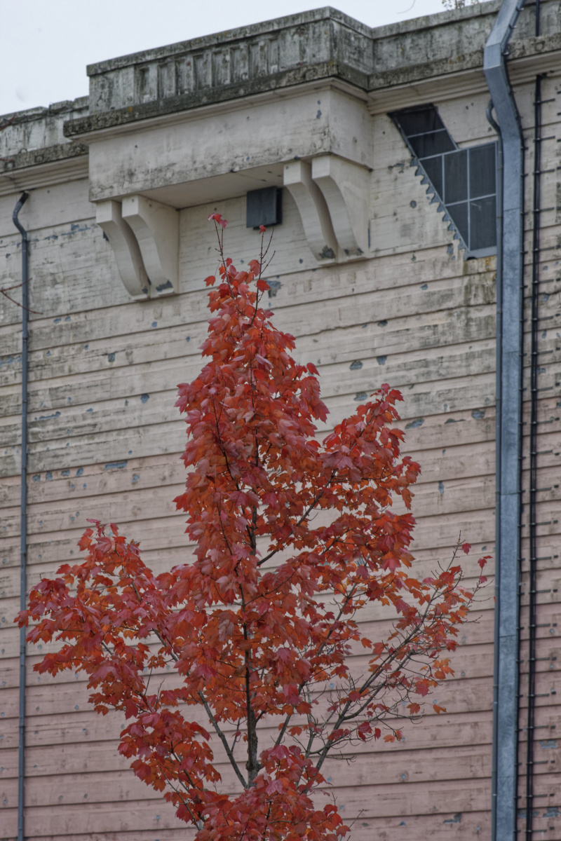 _Z508649_DxOKKxl.jpg