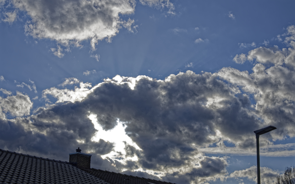 _Z509041_DxOP_xl.jpg