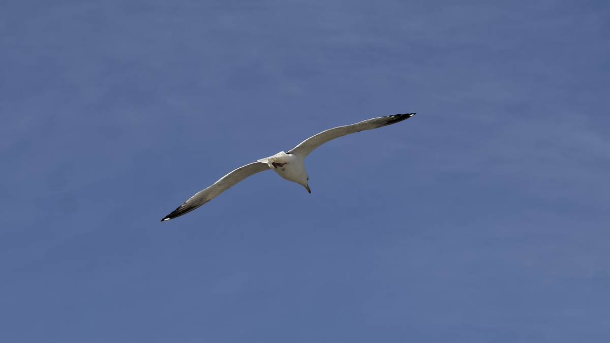 _Z509120_DxOPAxl.jpg