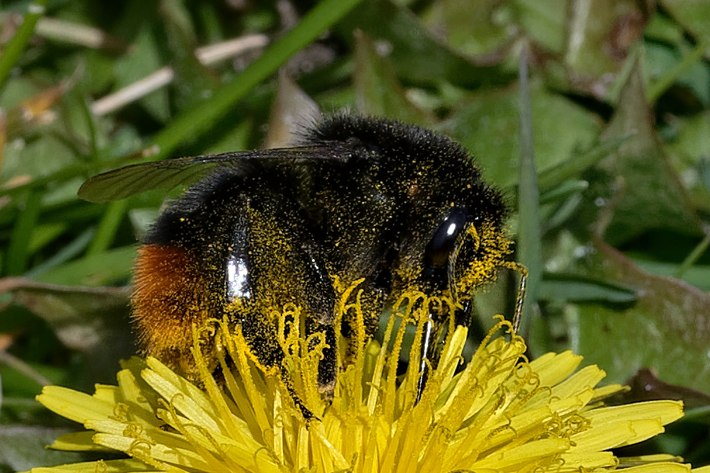 _Z509421_DxOAl.jpg