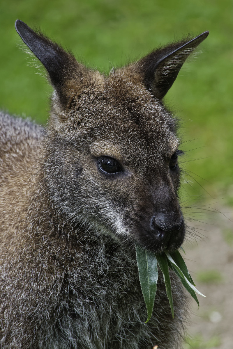_Z509603_DxOHxl.jpg