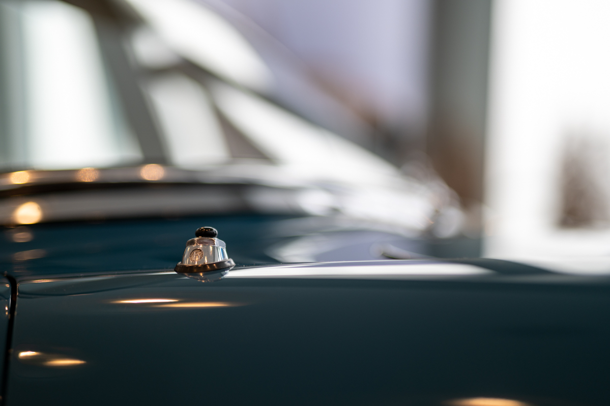 _Z6Z4130-85.jpg