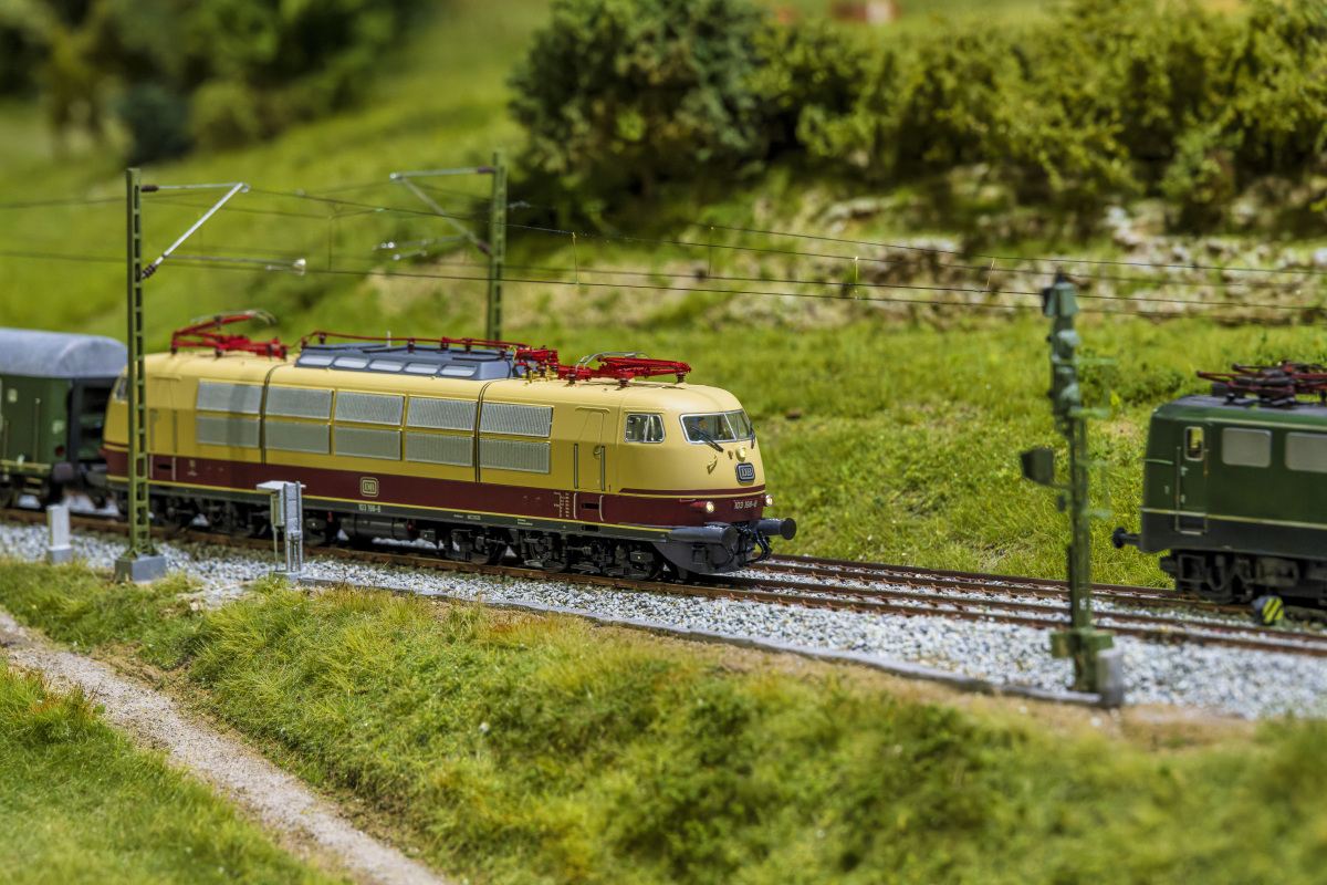 _Z7F1792-.JPG