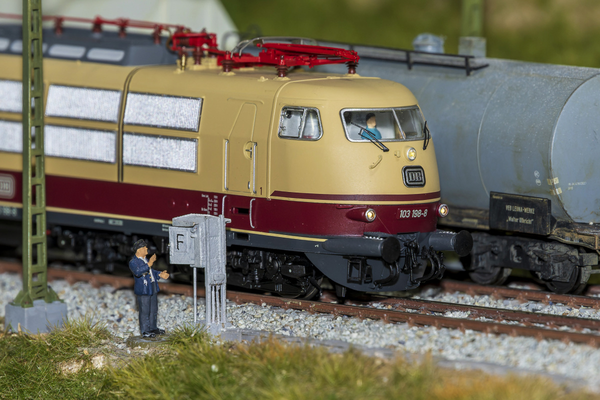 _Z7F1804-.JPG