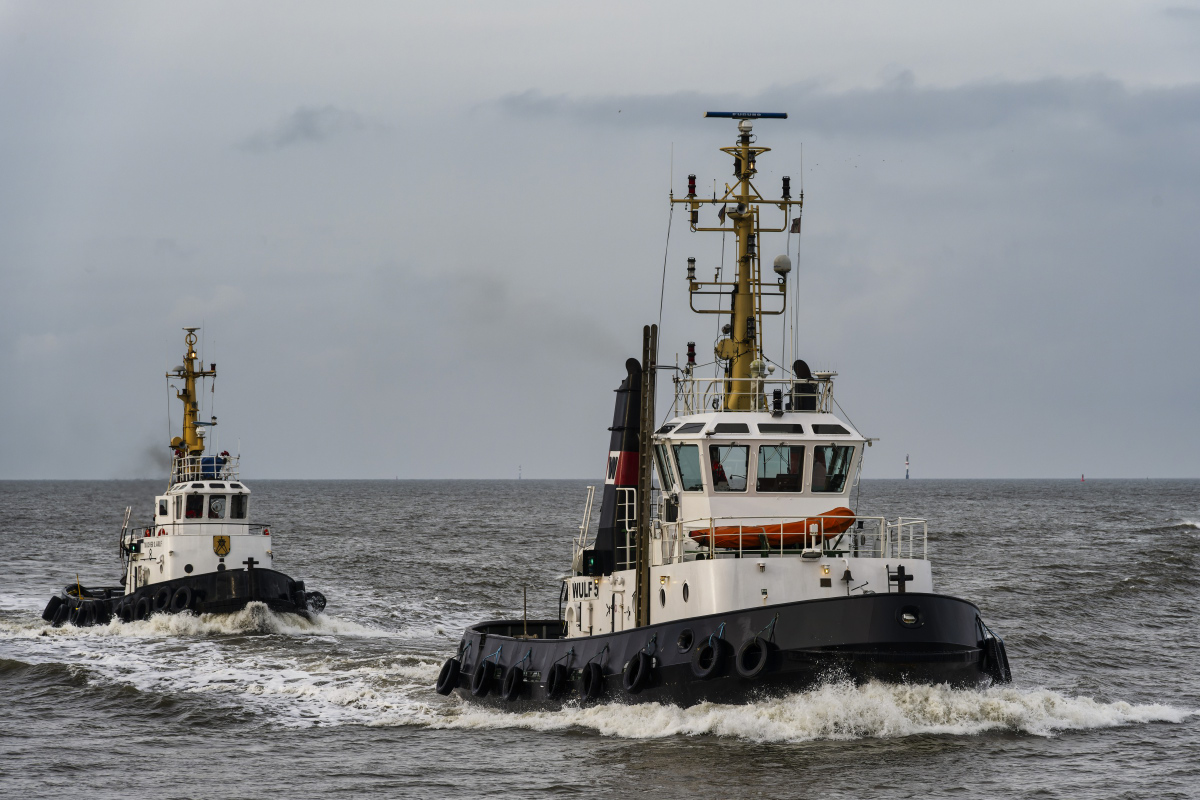 _Z7F6741-_300#.JPG