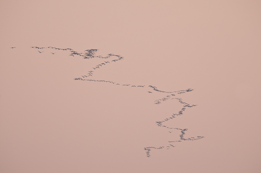 a 70 2570