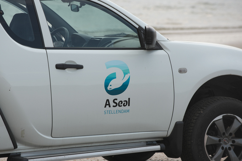 A Seal 20200617 Beestenbrigade-001.jpg
