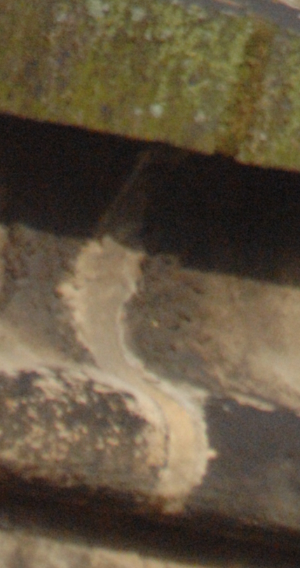 a turm tam crop2