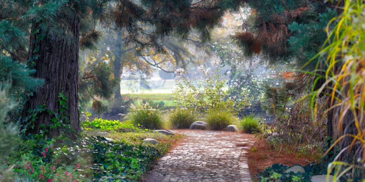 A Walk In The Park_1600.jpg
