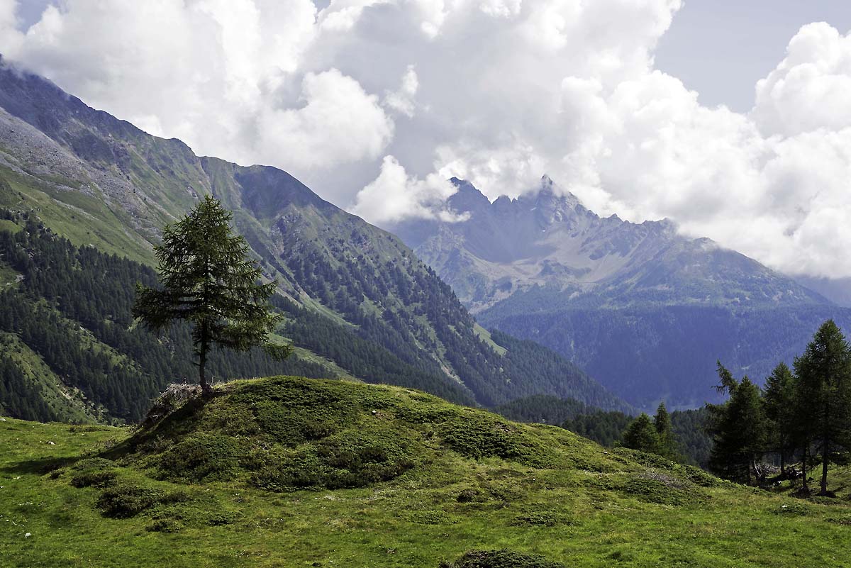A00_5948-Bearbeitet.jpg