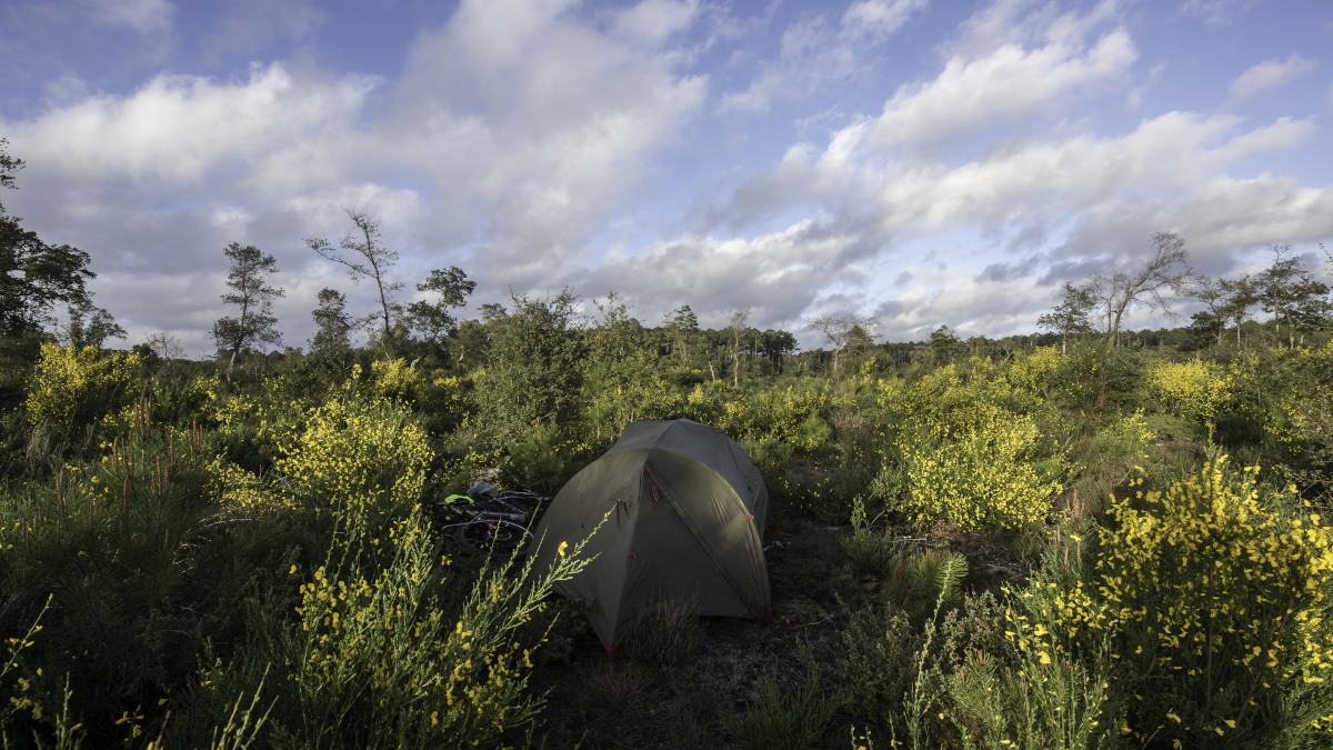 A00_7641-Bearbeitet.JPG