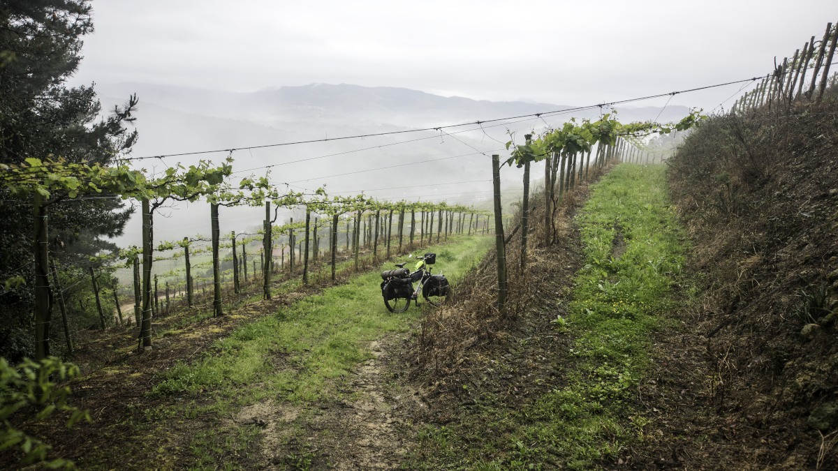 A00_7659-Bearbeitet.JPG