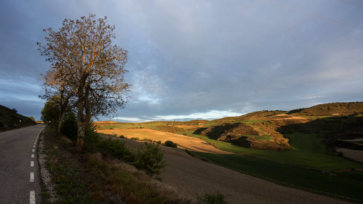 A00_7692-Bearbeitet.JPG