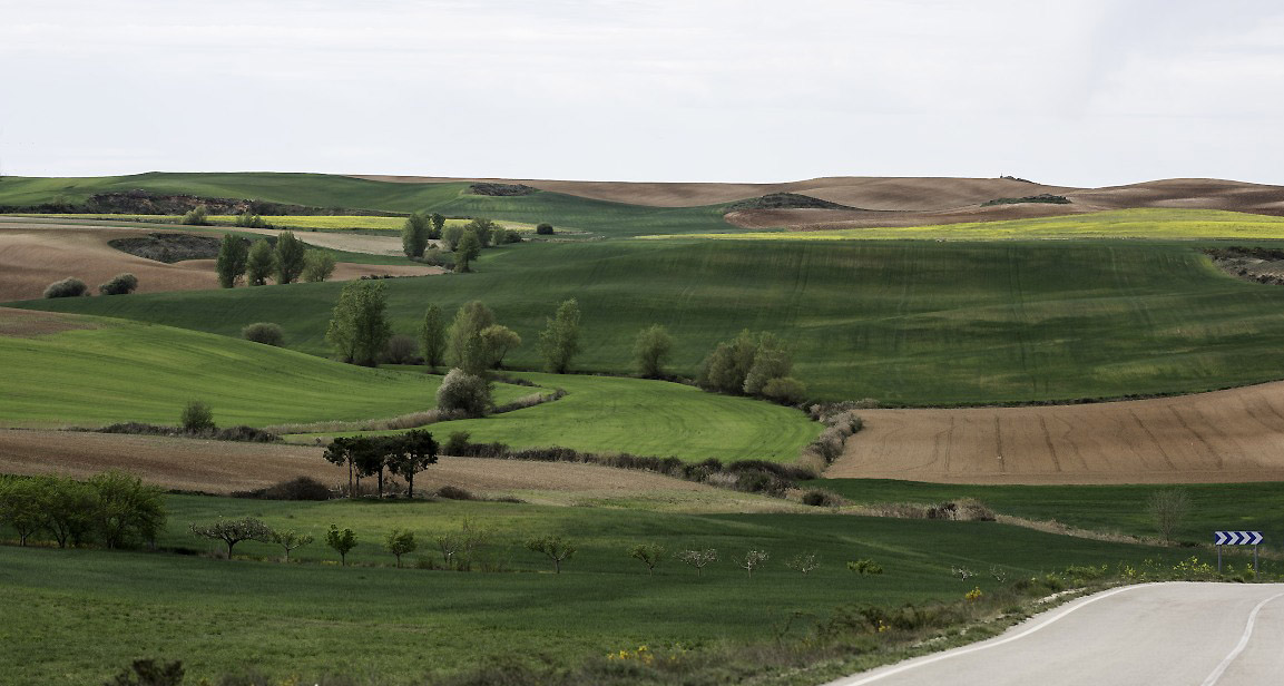 A00_7696-Bearbeitet.JPG