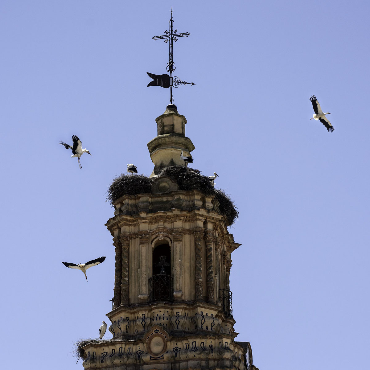 A00_7890-Bearbeitet.JPG