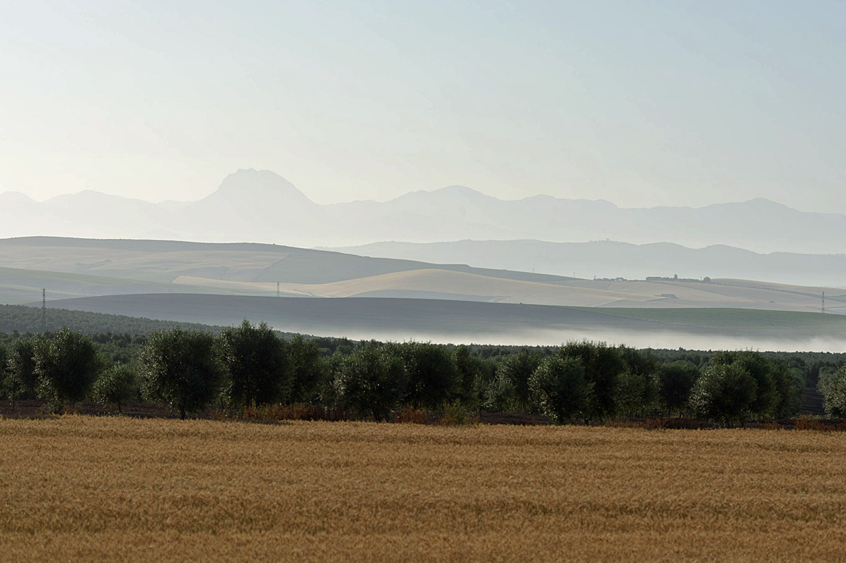 A00_7910.JPG