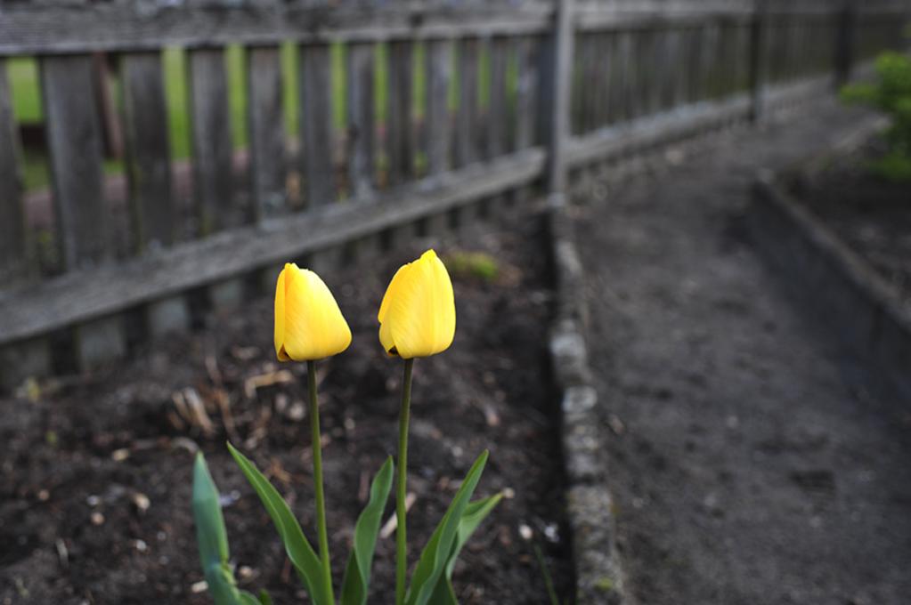 A12 8227 2012 04 16 05426

d700  1,4/35mm  4/250