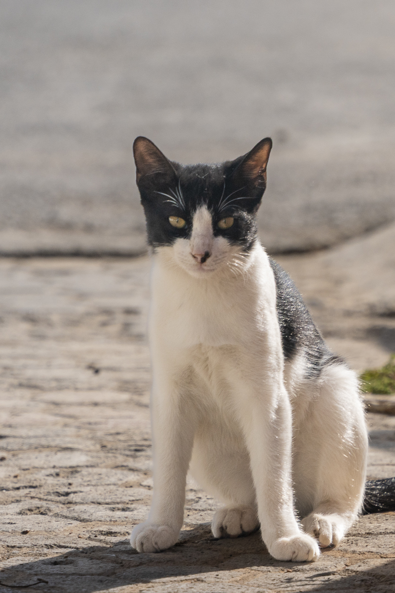 A7R02845-2.jpg
