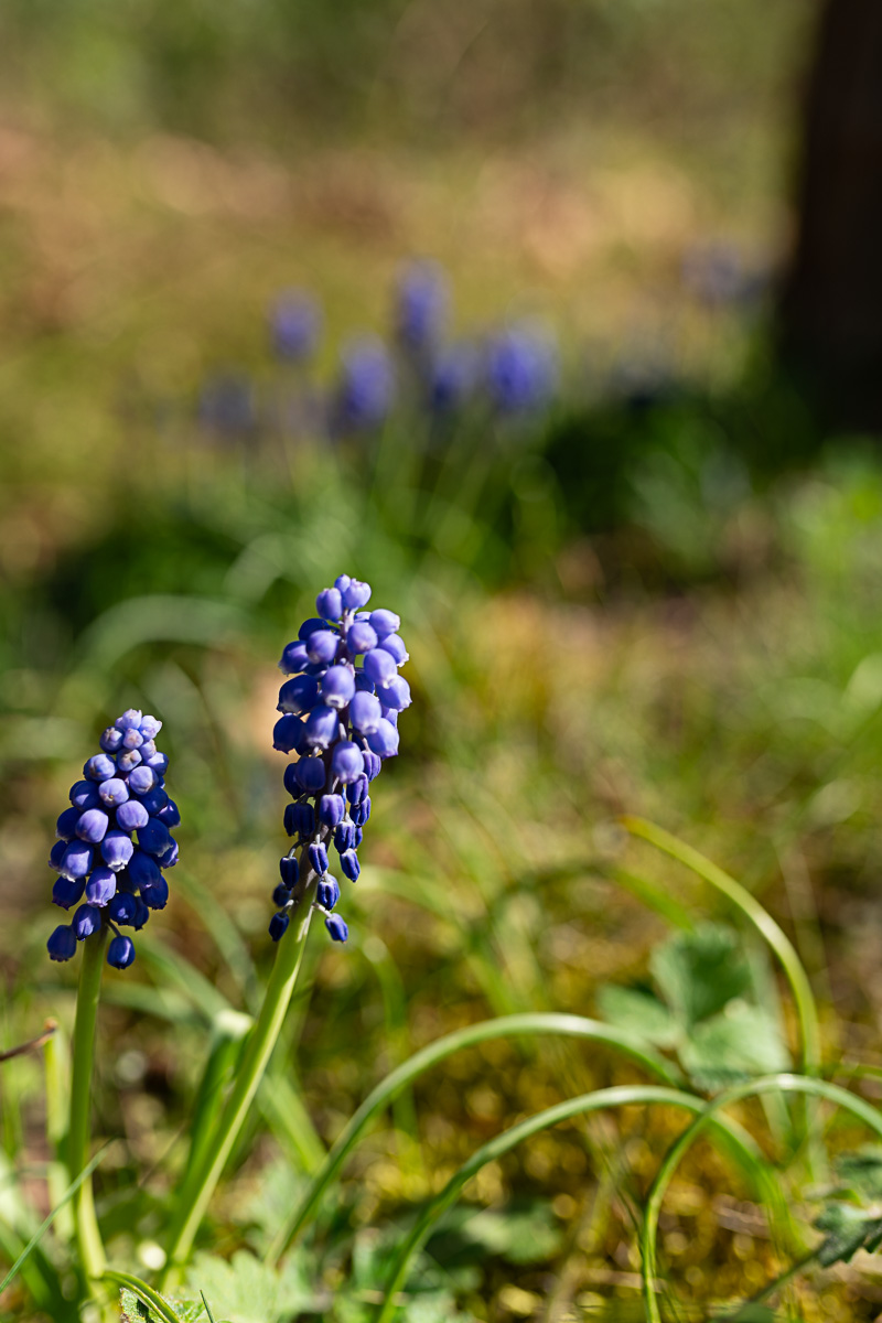 A7R03156-3.jpg