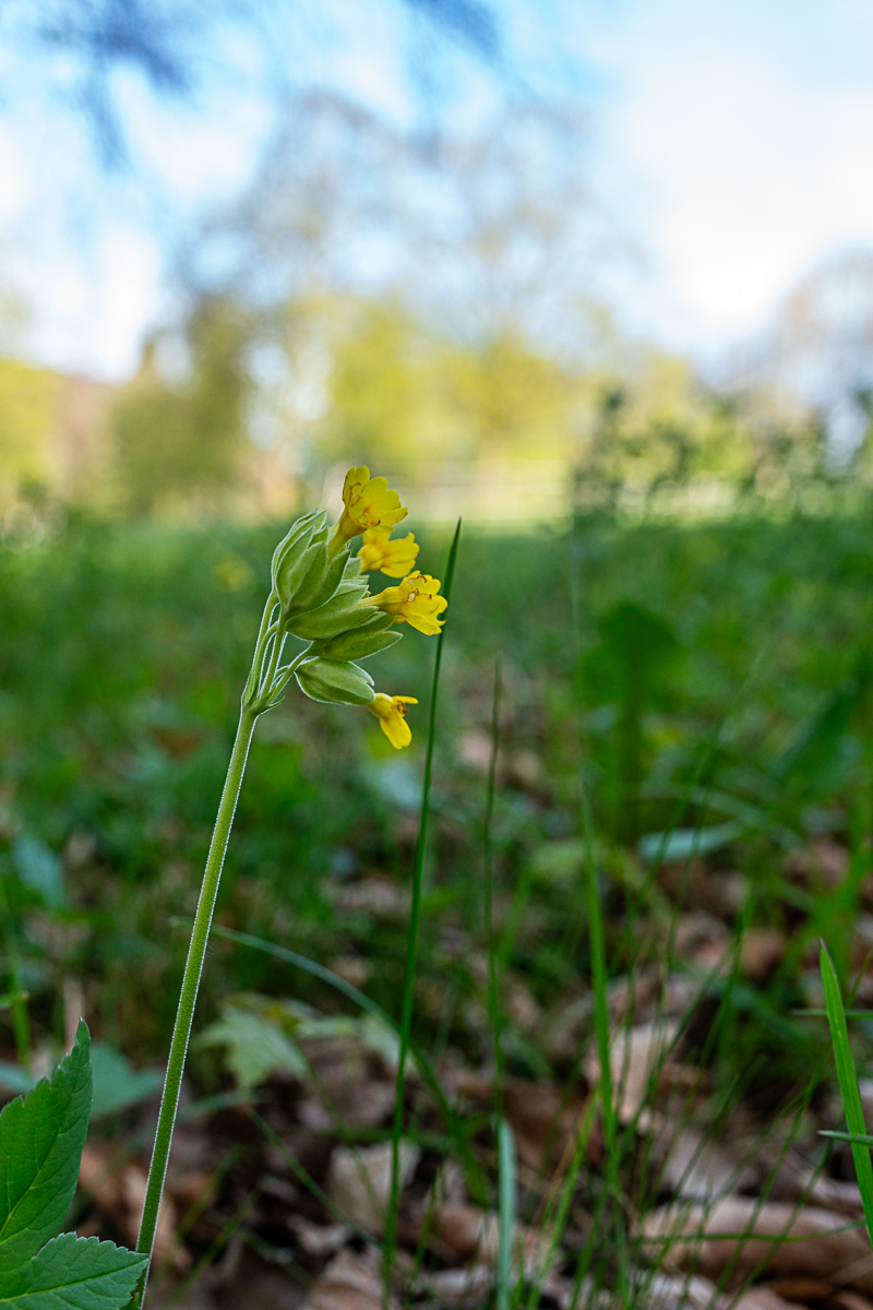 A7R03234.jpg