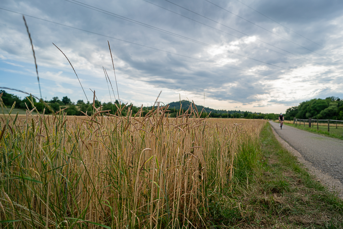A7R03338.jpg