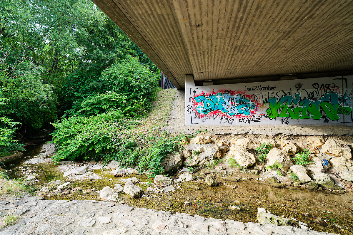 A7R03358.jpg