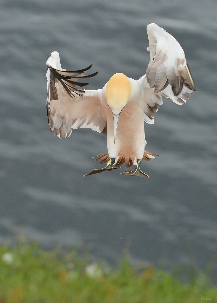 aaacomp Helgoland 20120629 2336