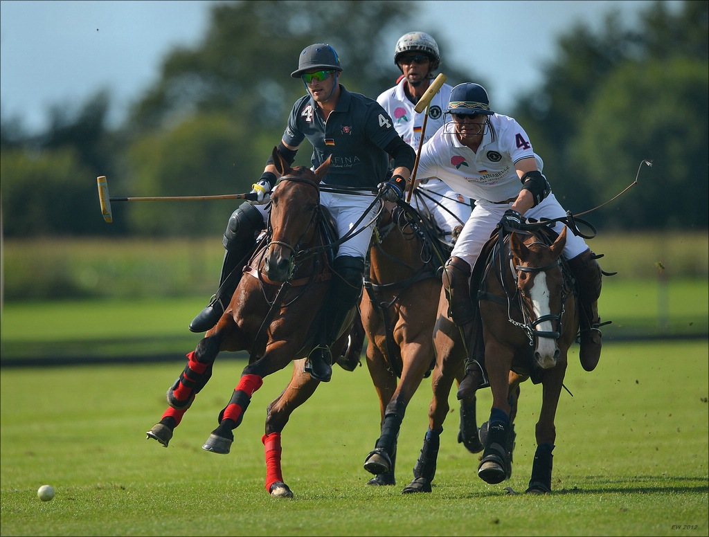 aaacomp polo 20120901 1379