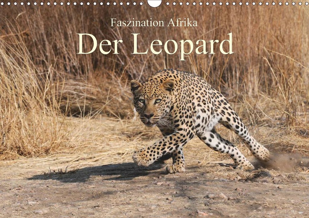 aacomp 297913 2