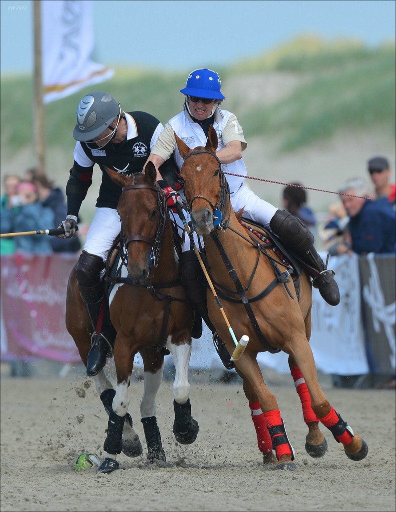 aacomp beachpolo 20120623 0462