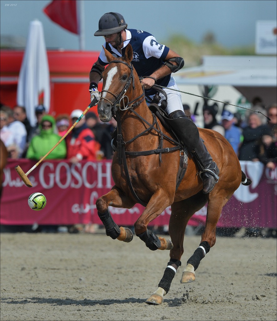 aacomp beachpolo 20120623 1744
