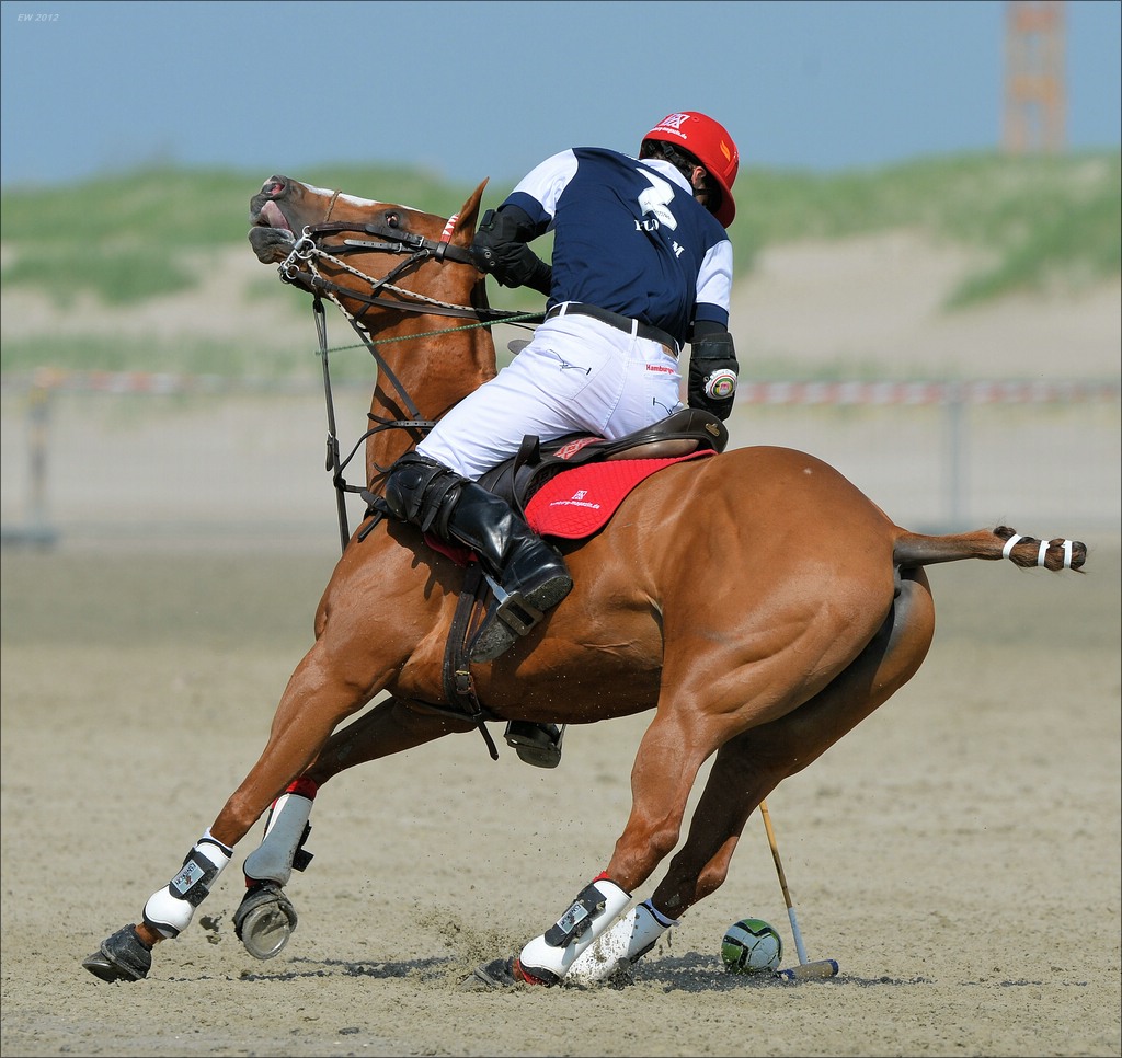 aacomp beachpolo 20120623 1784