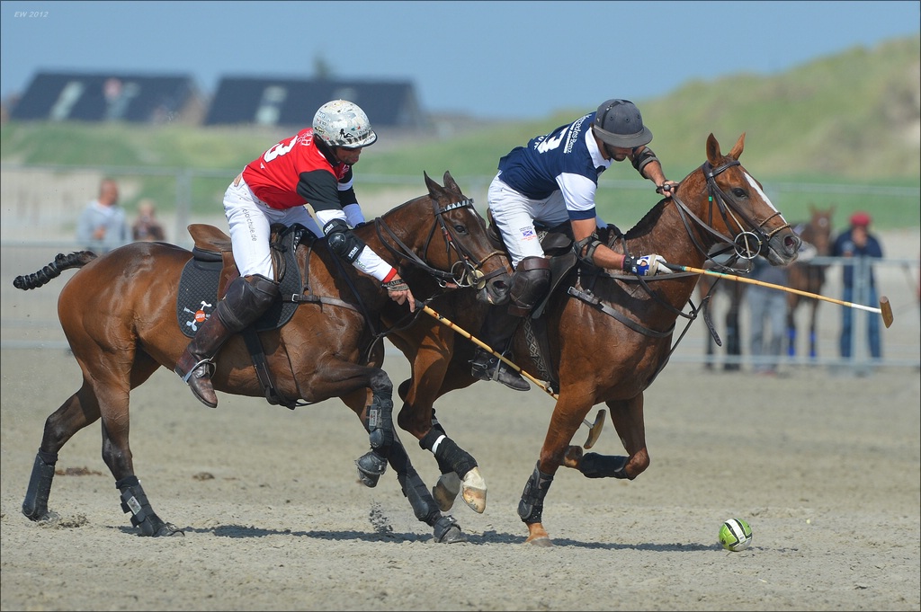 aacomp beachpolo 20120623 1991