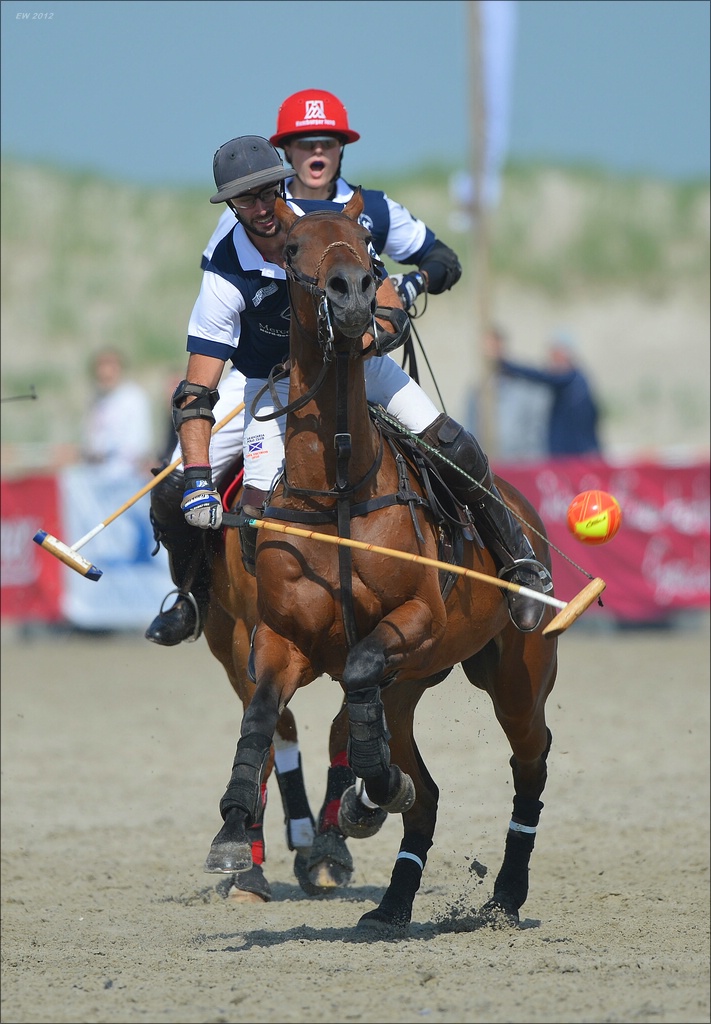 aacomp beachpolo 20120623 2233