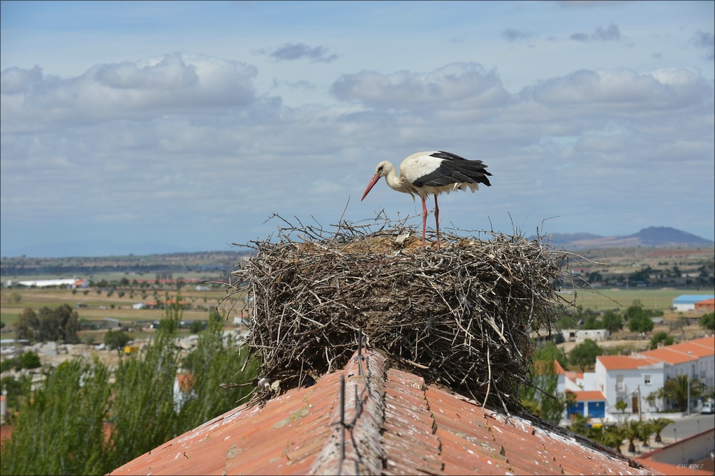 aacomp Extremadura 20120423 6838