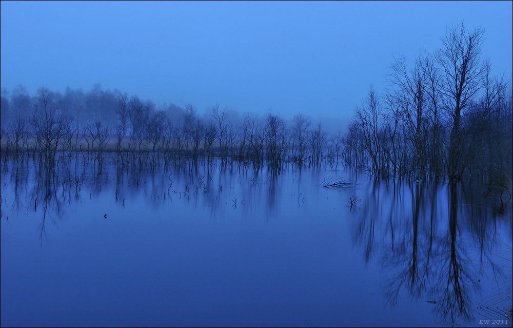 aacomp Hasenmoor 20110319 0159