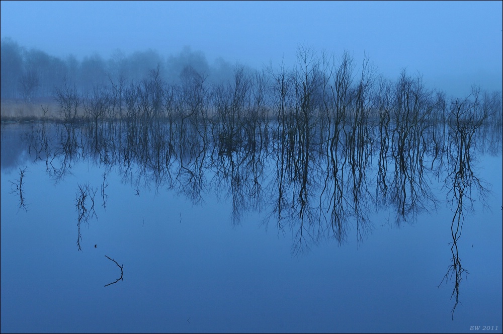 aacomp Hasenmoor 20110319 0164