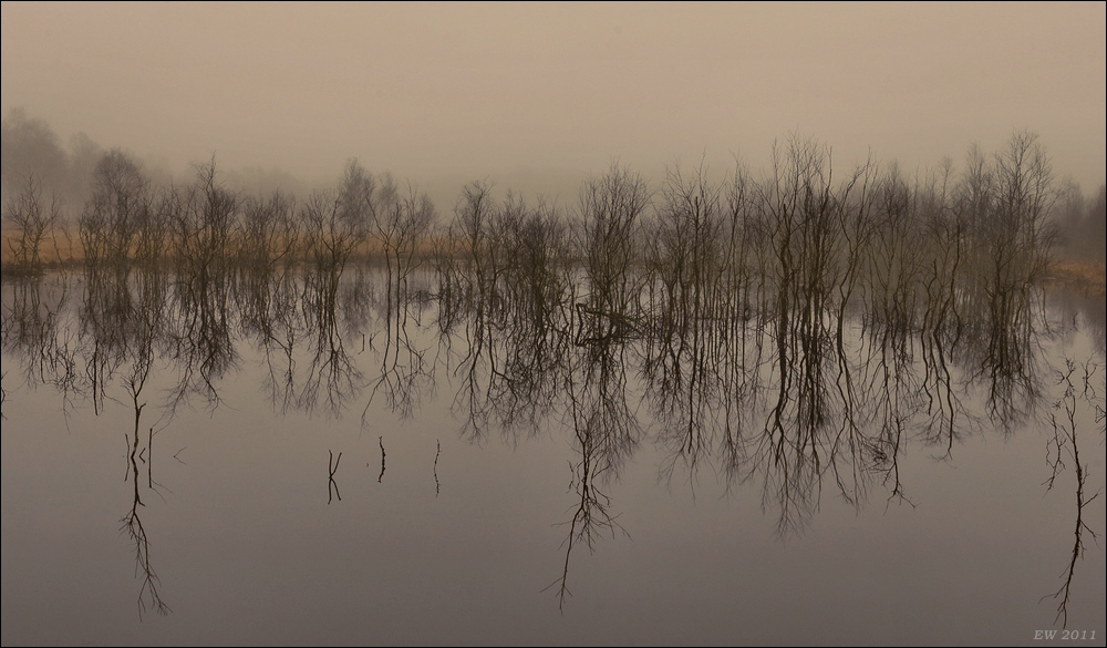 aacomp Hasenmoor 20110319 0182a