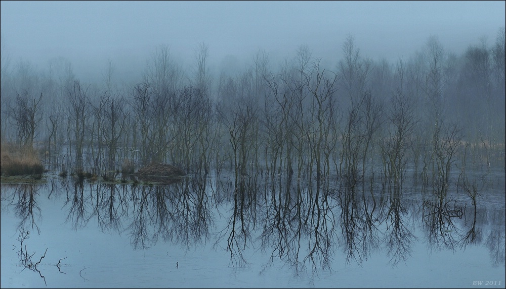 aacomp Hasenmoor 20110319 0199abc