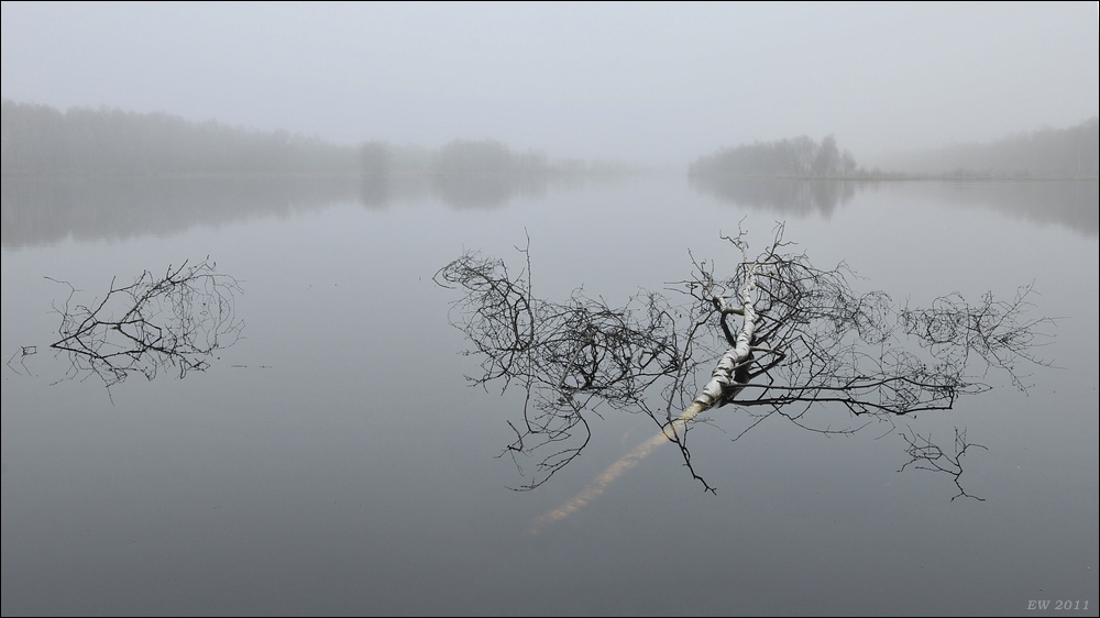 aacomp Hasenmoor 20110319 0333ab