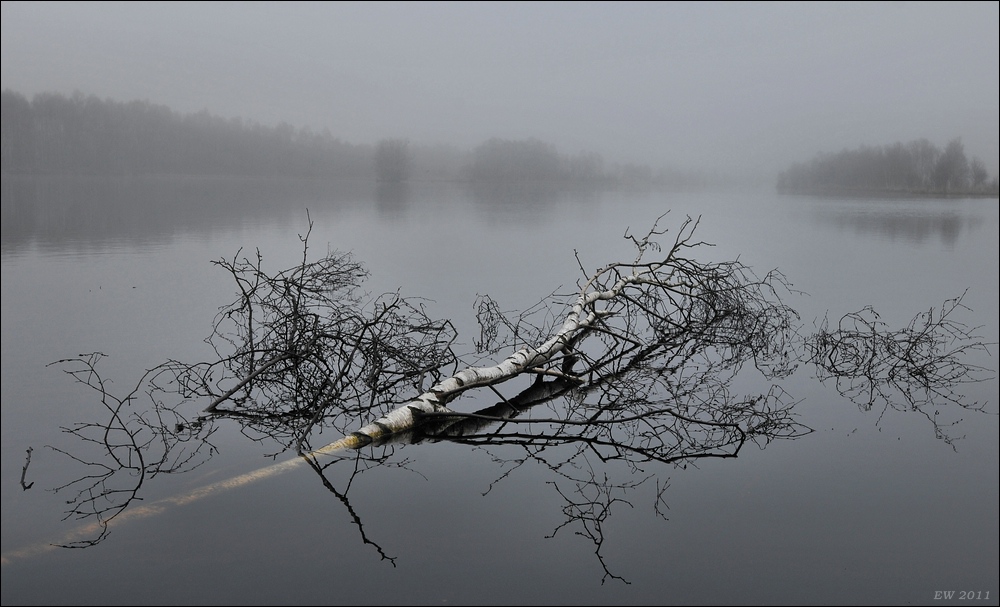 aacomp Hasenmoor 20110319 0395