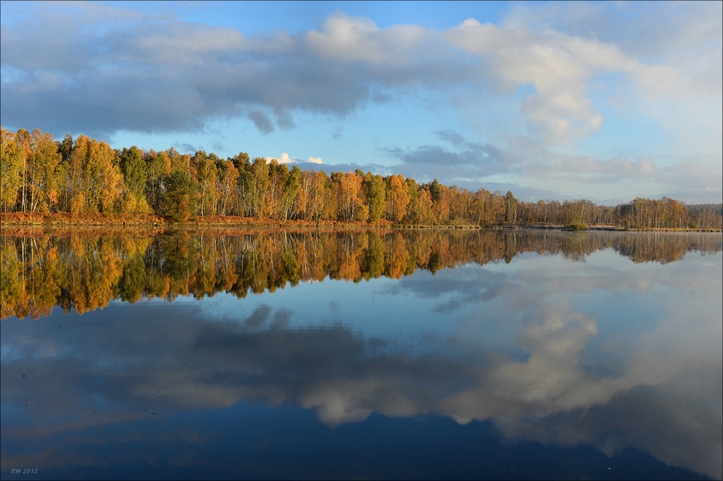 aacomp hasenmoor 20121027 0385