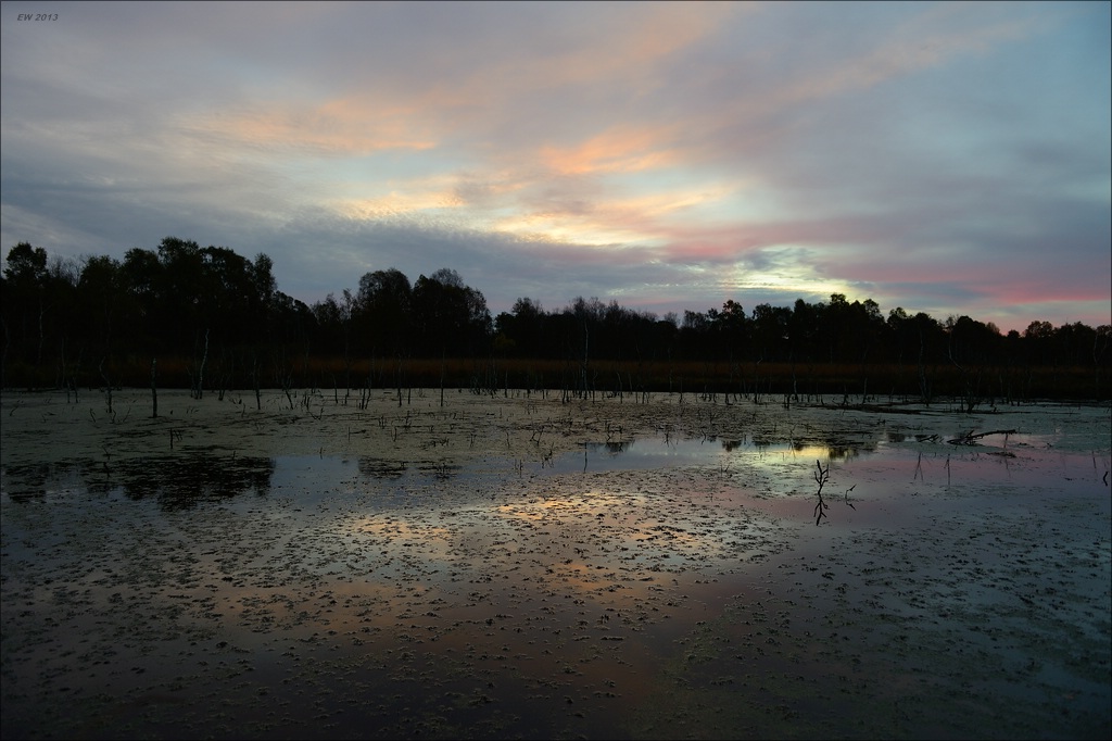 aacomp hasenmoor 20131019 0040