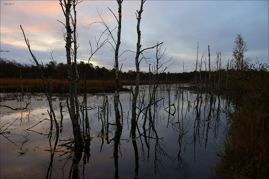 aacomp hasenmoor 20131019 0049