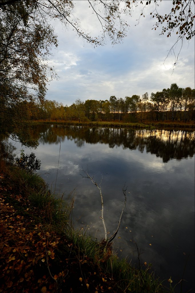 aacomp hasenmoor 20131019 0162